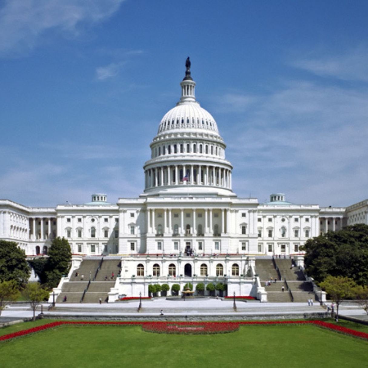 Government